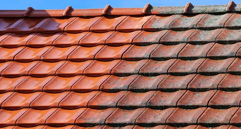 Démoussage de toiture à Arcachon